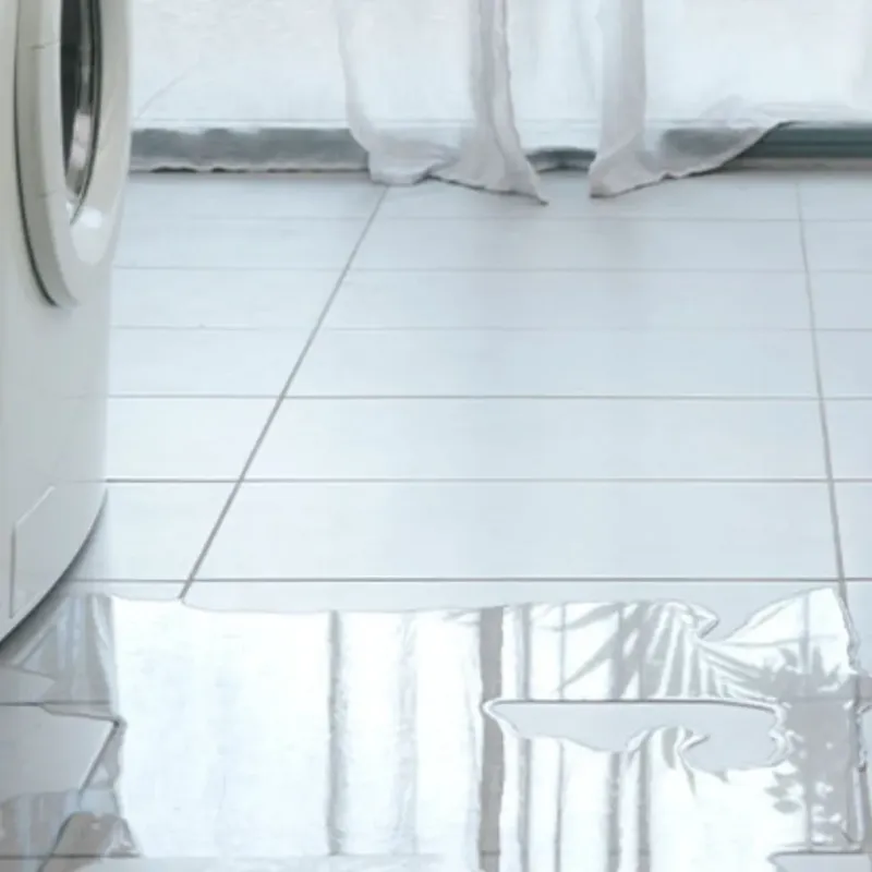 Appliance Leak Cleanup in Sterling, IL