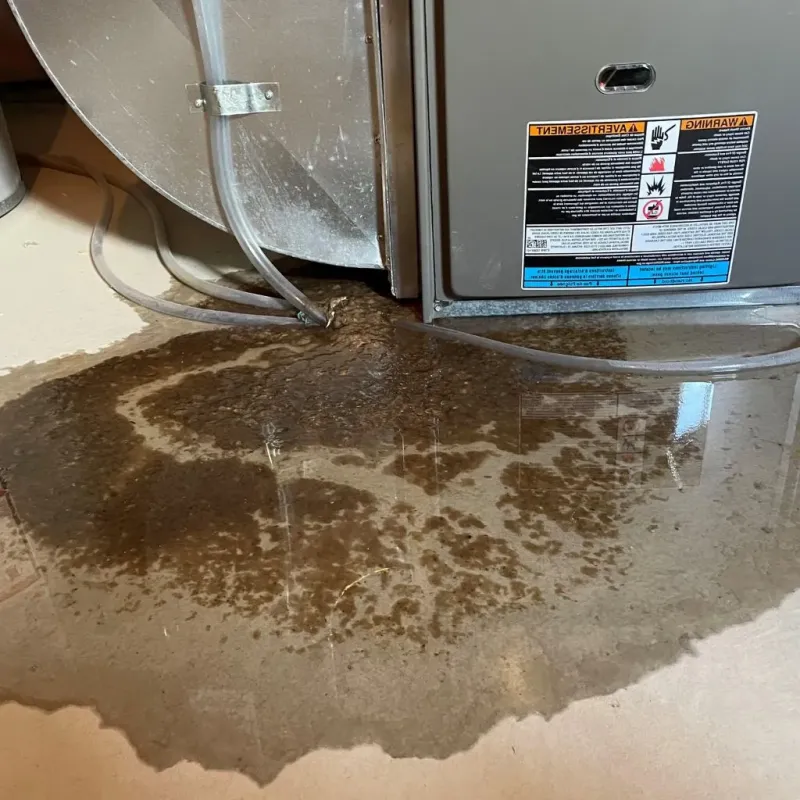 Pipe Burst and Leak Restoration in Sterling, IL