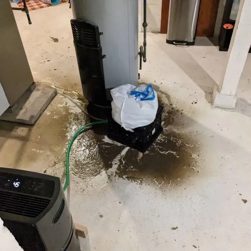 Sewage Backup Cleanup Service in Sterling, IL